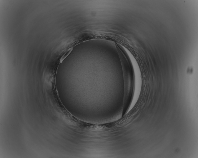 X0000090780235200708031722