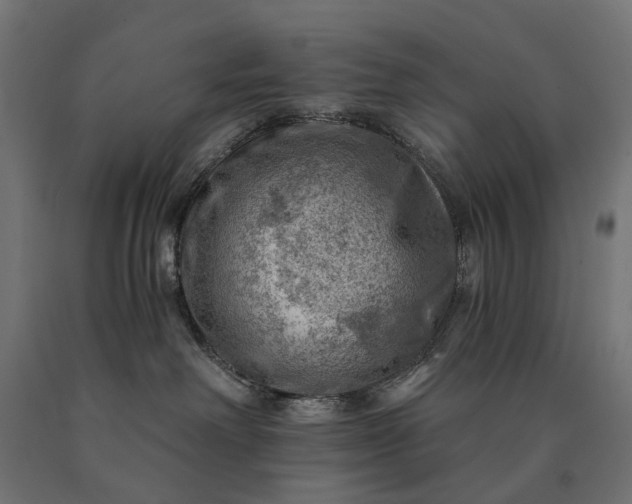 X0000090780238200708031722