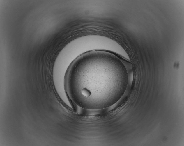 X0000090780239200708031722