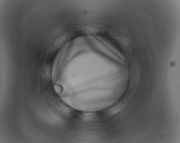 X0000090780240200708031722