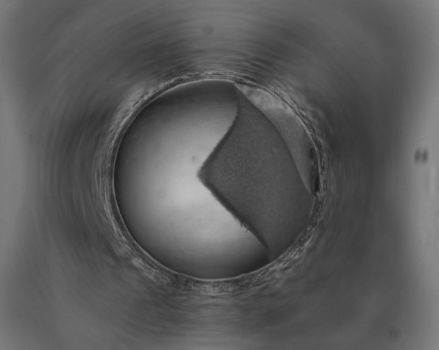 X0000090780241200708031721