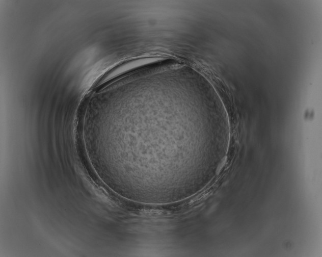 X0000090780242200708031721