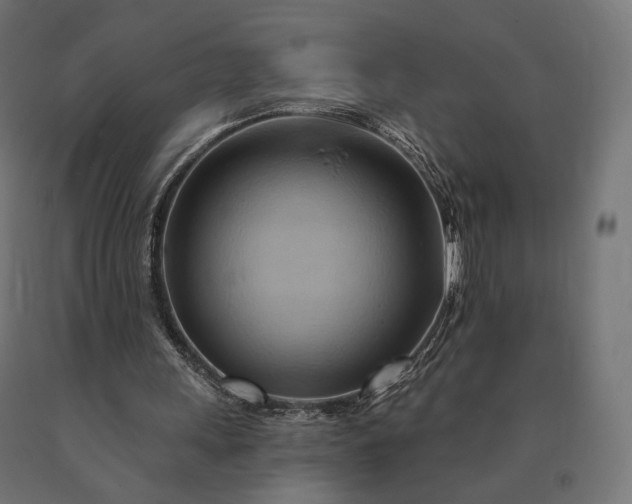 X0000090780243200708031721
