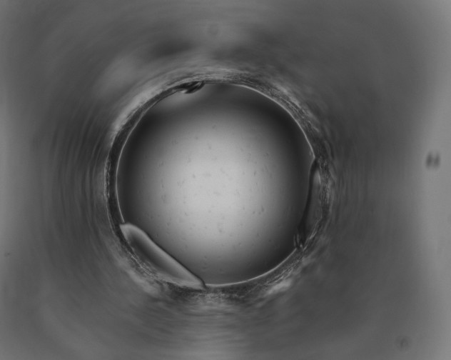 X0000090780244200708031721