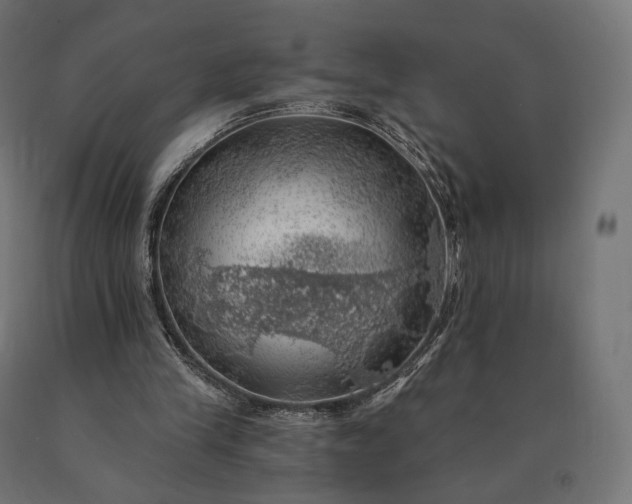 X0000090780245200708031721