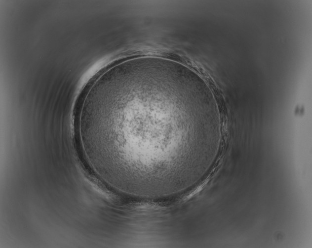 X0000090780246200708031721