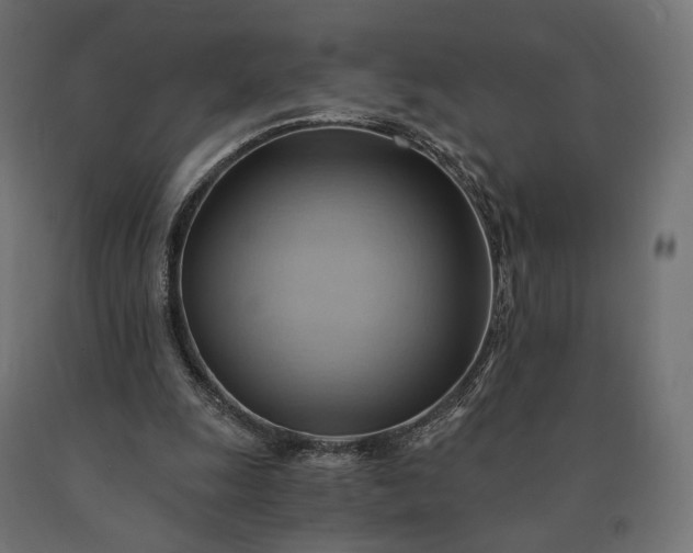 X0000090780247200708031721