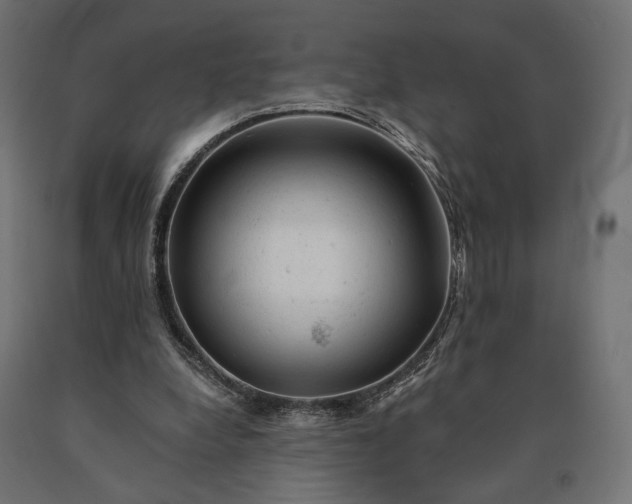 X0000090780248200708031721