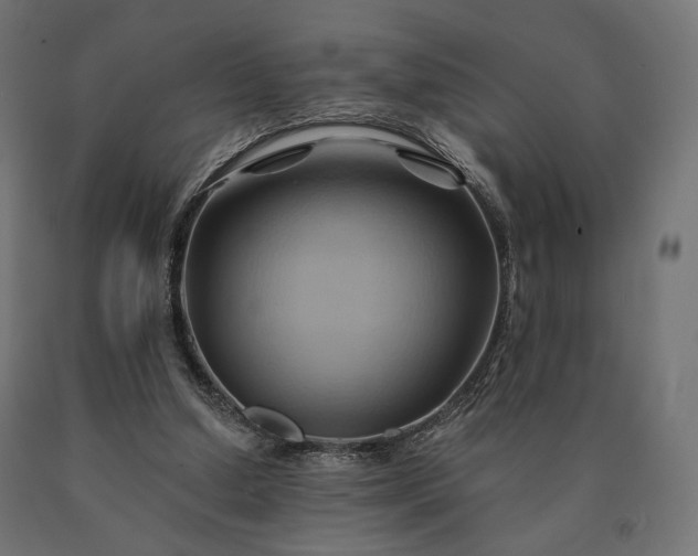 X0000090780250200708031721