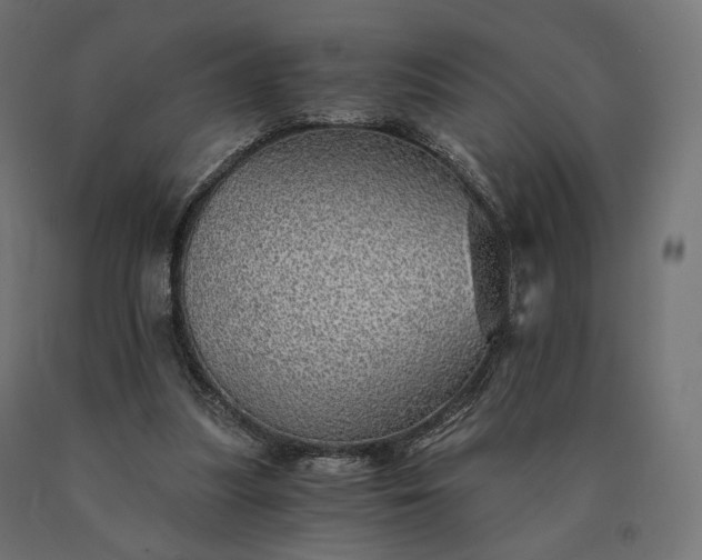 X0000090780251200708031721