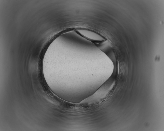 X0000090780252200708031721