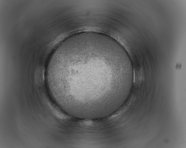 X0000090780253200708031721