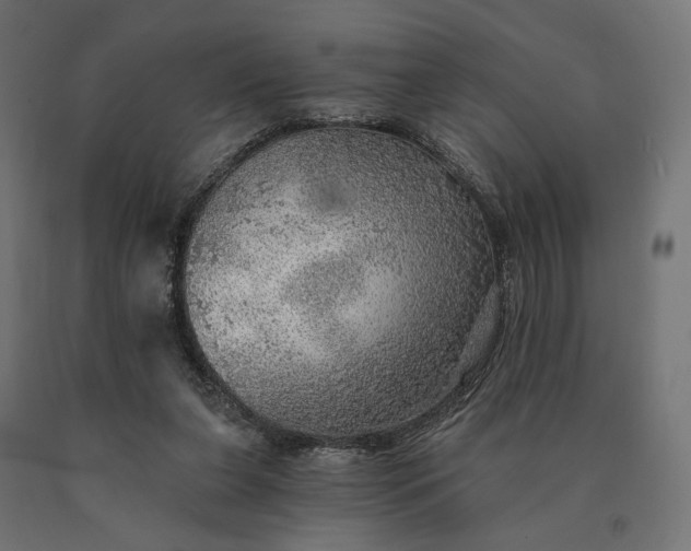 X0000090780255200708031721