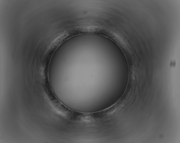 X0000090780258200708031721