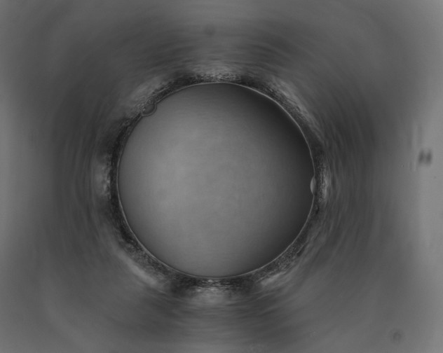 X0000090780259200708031721