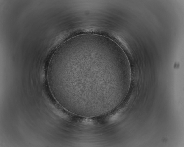 X0000090780261200708031721
