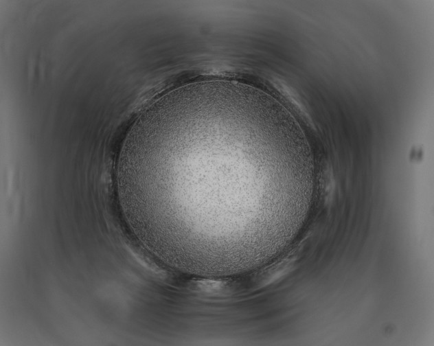 X0000090780265200708031721