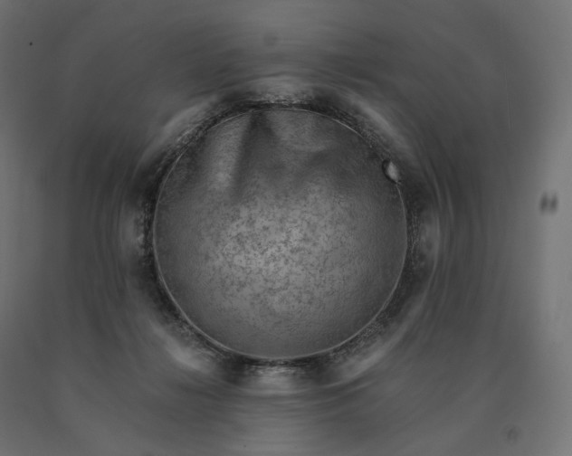 X0000090780268200708031721