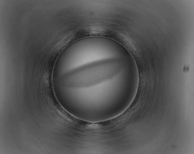 X0000090780269200708031721