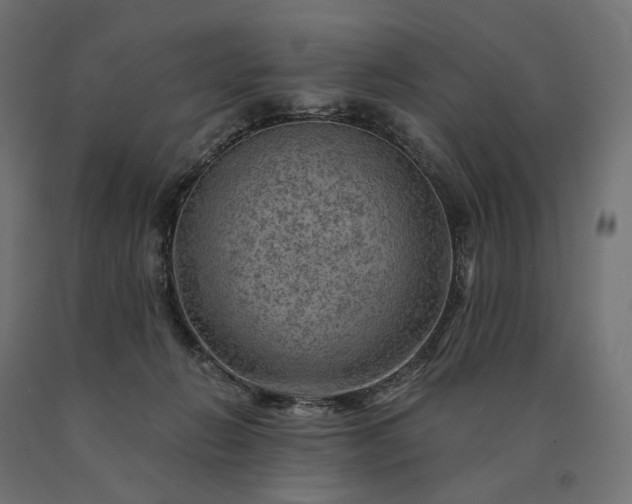 X0000090780270200708031721