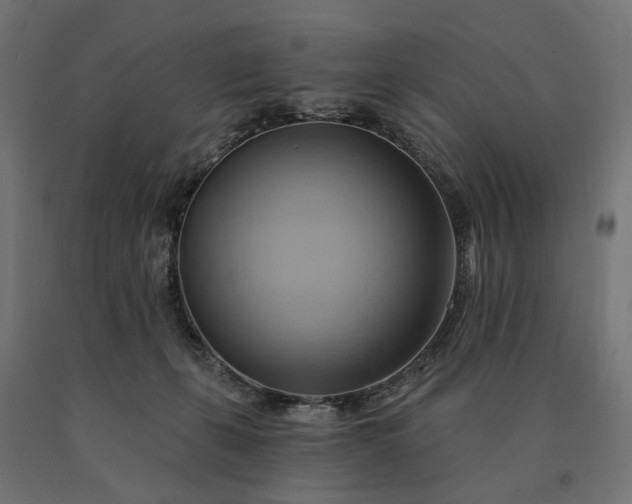 X0000090780271200708031721