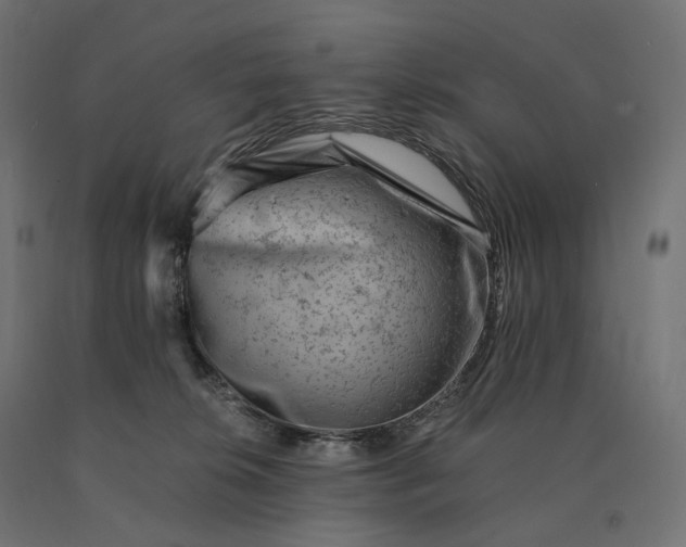 X0000090780276200708031722