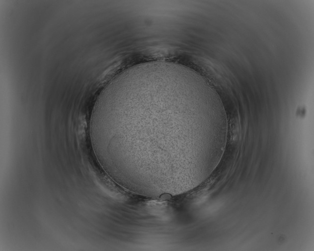 X0000090780279200708031722