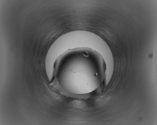 X0000090780280200708031722