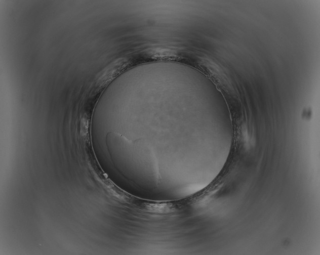 X0000090780281200708031722