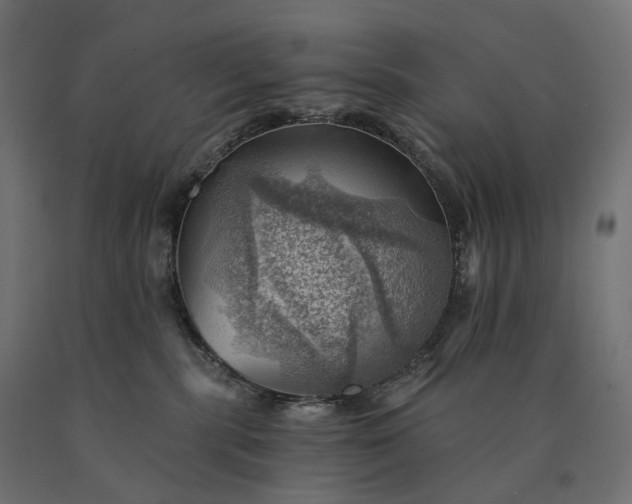 X0000090780283200708031722