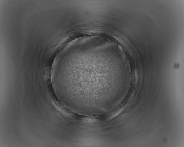 X0000090780284200708031722
