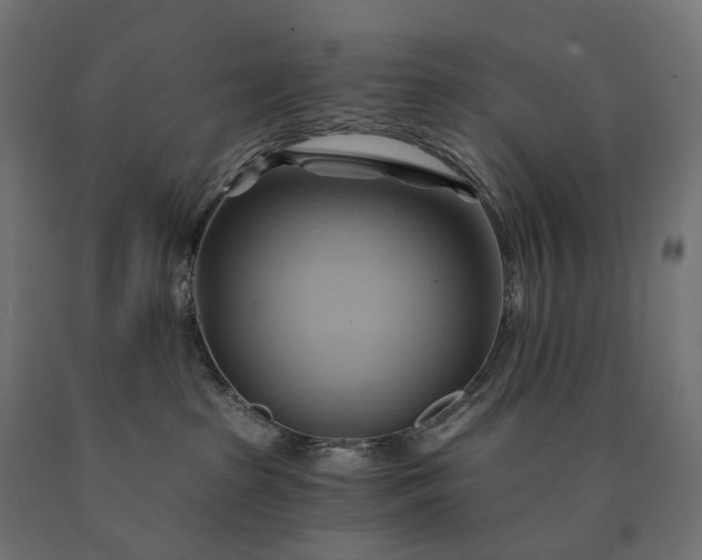 X0000090780285200708031722