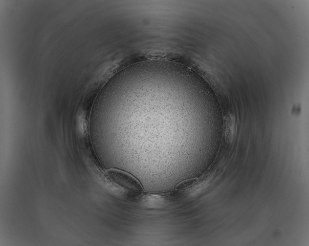 X0000090780287200708031722