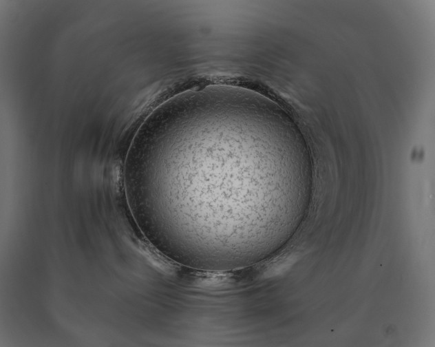 X0000090780288200708031722