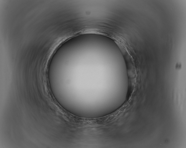 X0000090780289200708031721