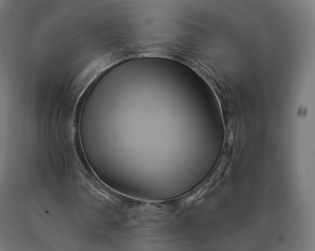 X0000090780290200708031721