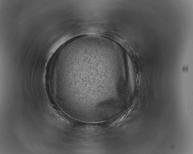 X0000090780292200708031721
