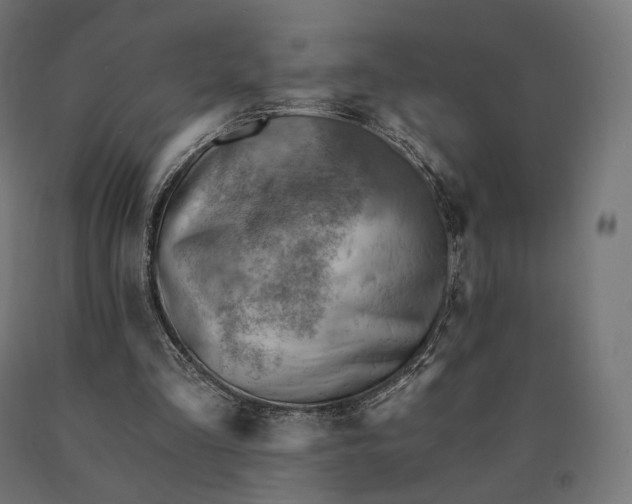 X0000090780293200708031721