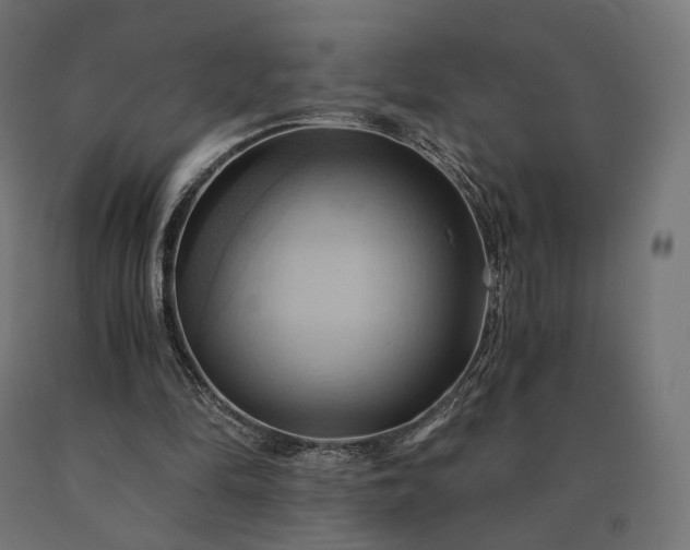 X0000090780294200708031721