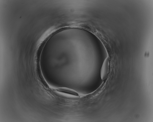 X0000090780295200708031721