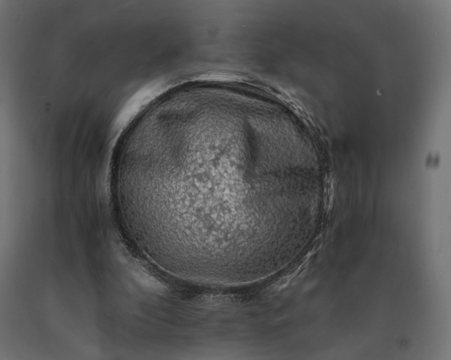 X0000090780296200708031721