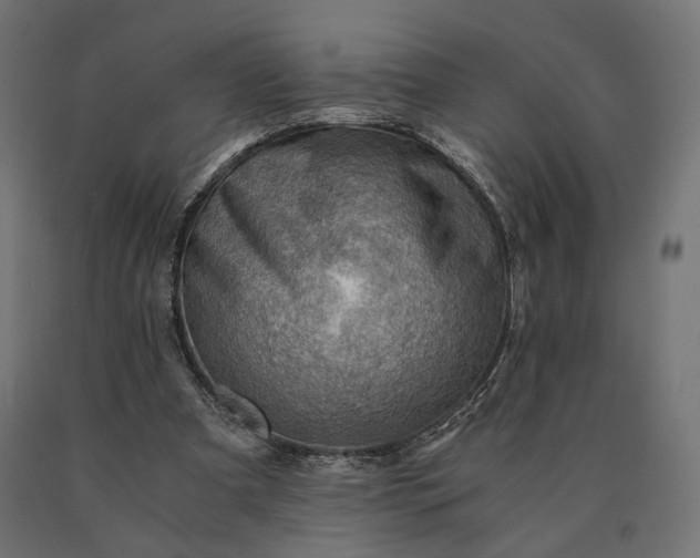 X0000090780297200708031721