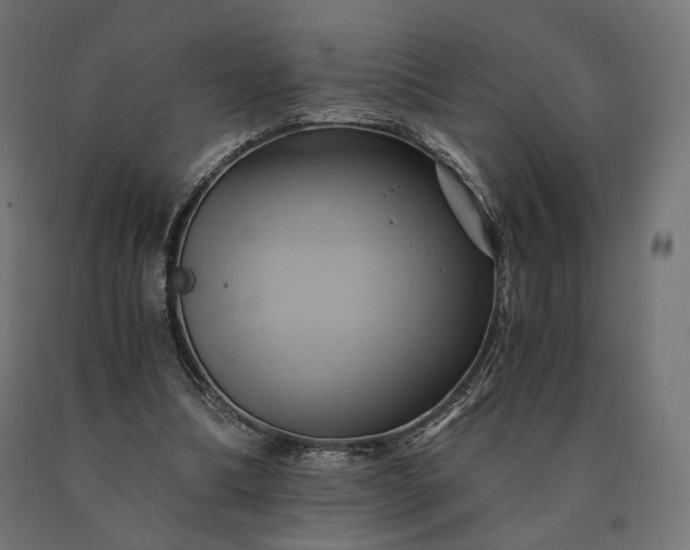 X0000090780298200708031721