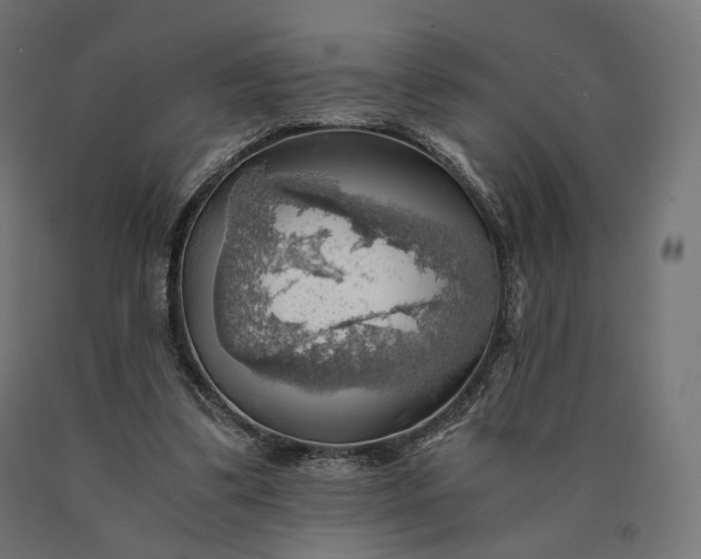 X0000090780299200708031721
