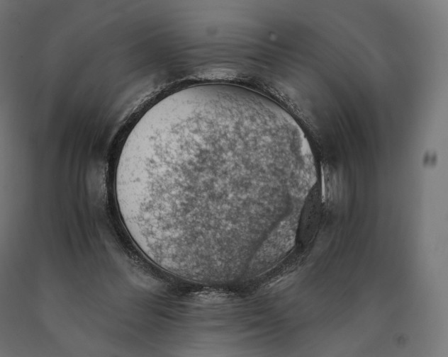 X0000090780300200708031721
