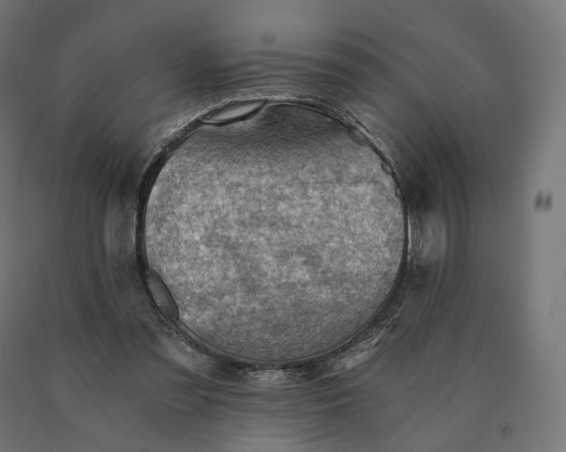 X0000090780301200708031721