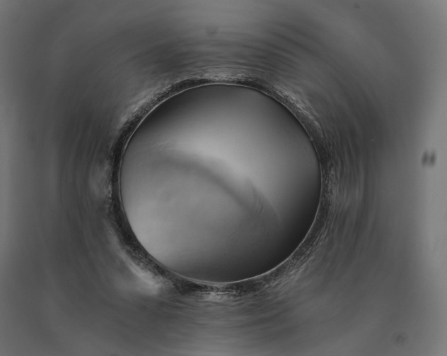 X0000090780303200708031721