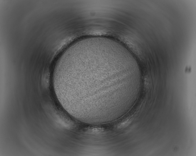 X0000090780304200708031721