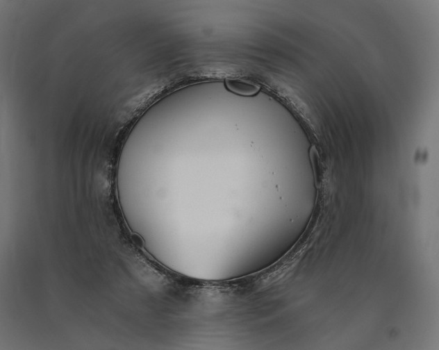 X0000090780305200708031721