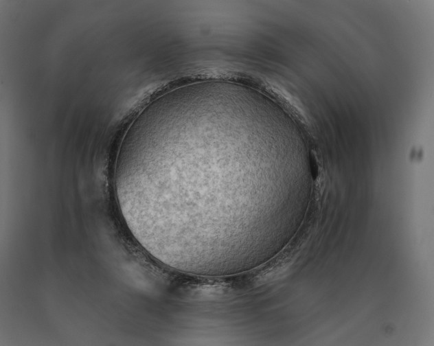 X0000090780306200708031721
